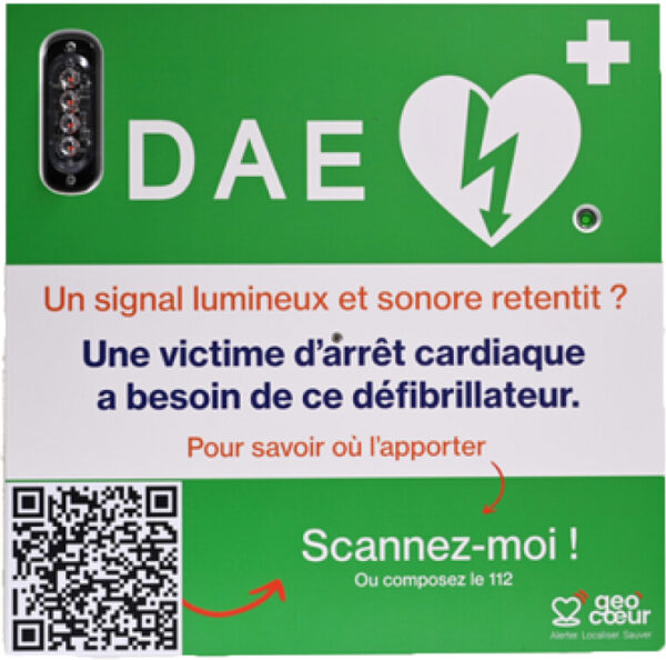 Géocoeur À Coeur Vaillant